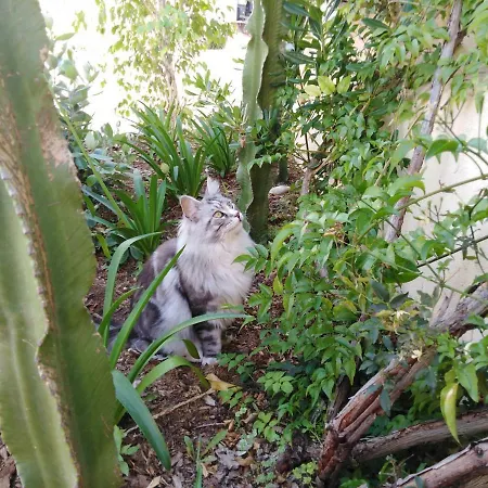 Le Vauban 3* Вильфранш-сюр-Мер